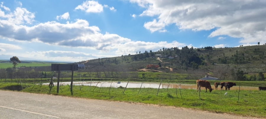0 Bedroom Property for Sale in Tesselaarsdal Western Cape